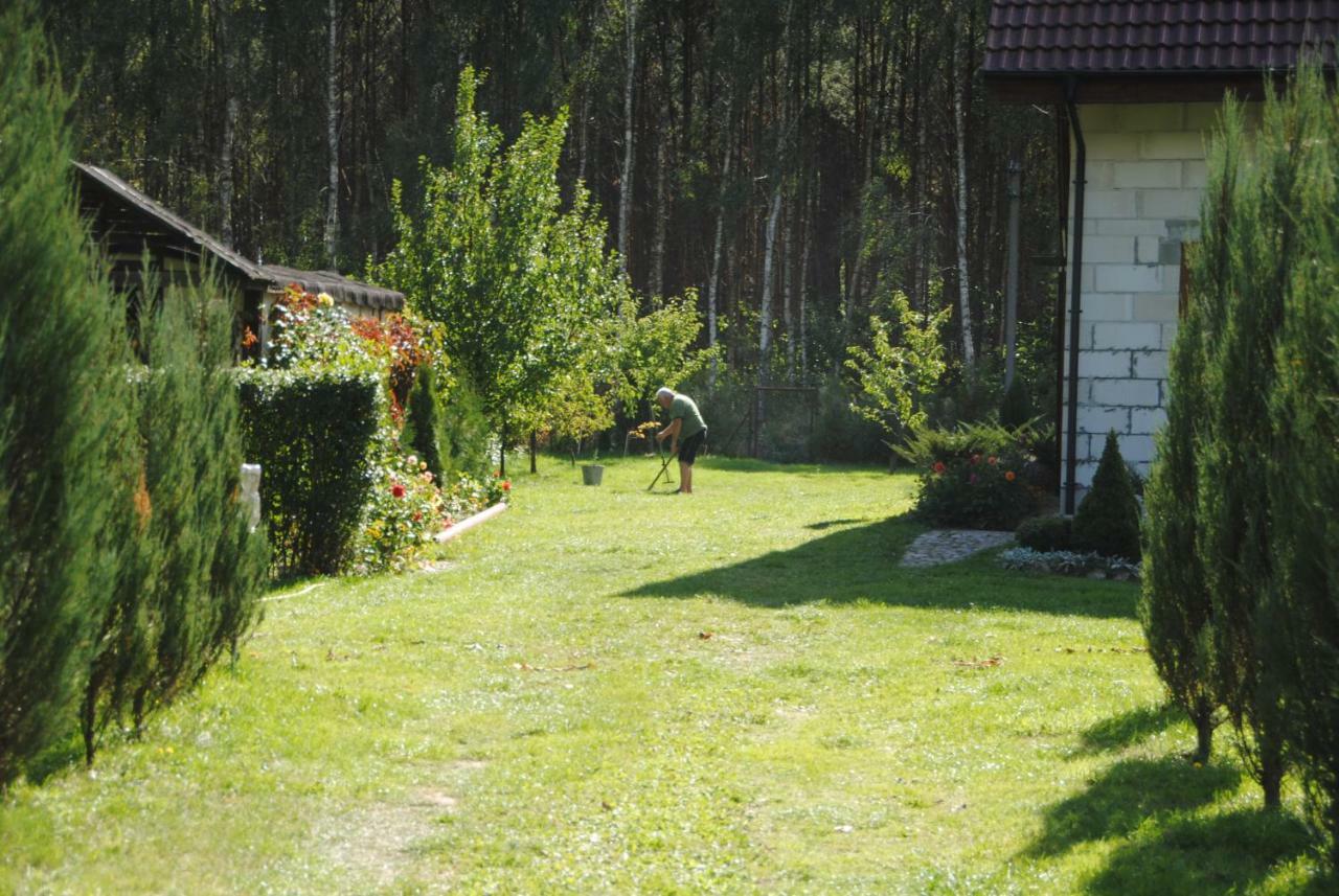 Brzozowe Zacisze Villa Lagow  Exterior photo